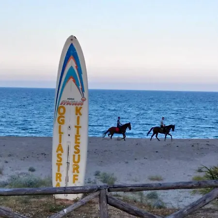 Mare